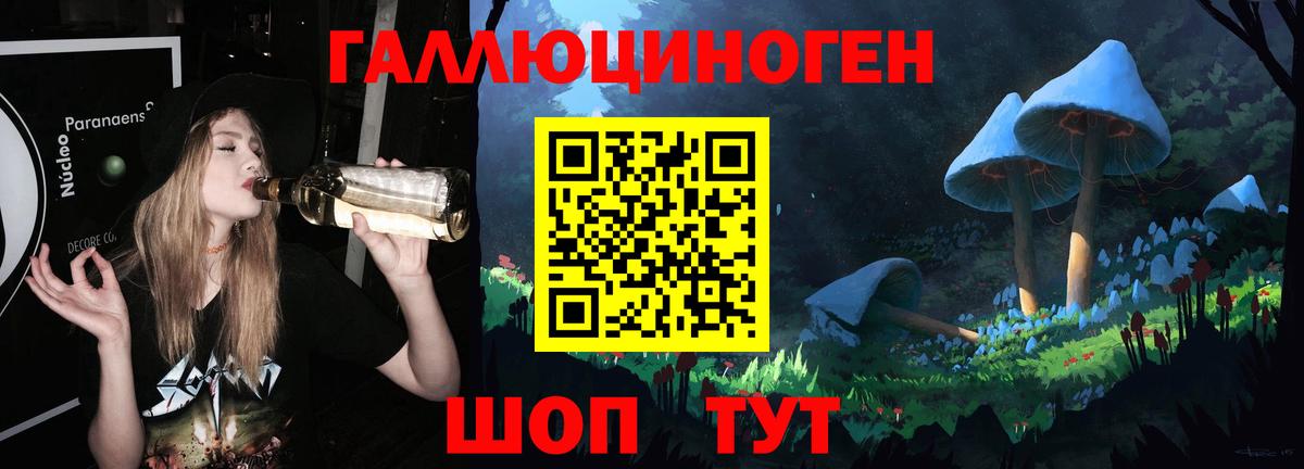 Дюртюли  Псилоцибиновые грибы Psilocybine cubensis  Вход с VPN 